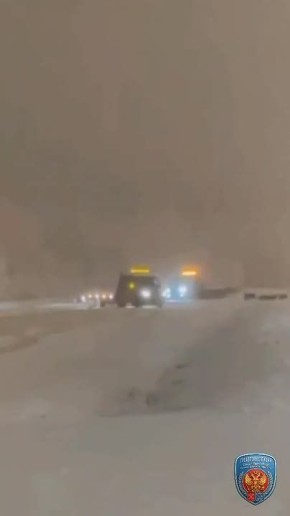 ��������� "�����" �� ������ ������� �������� ����������� ����������������