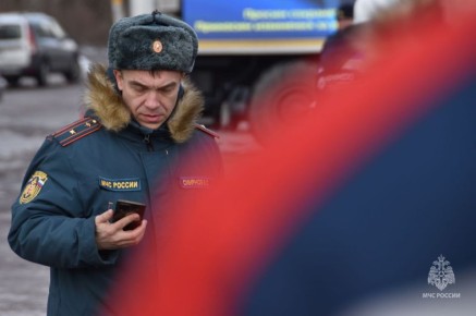 Узнать о плановых проверках органов госпожнадзора МЧС России можно онлайн