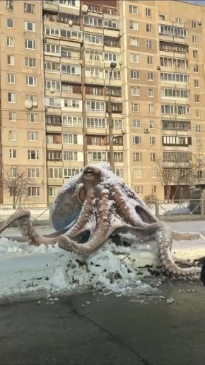 На улицы Петербурга выпустили кракена