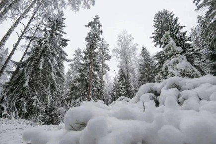 ��������� ��������� ��������� �������� ������ ������� ����������� ������