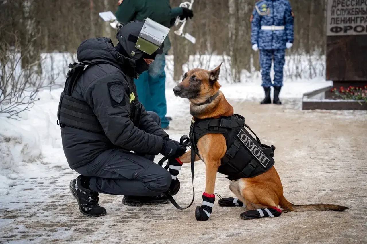 Кинологи Северо-Западного округа Росгвардии возложили цветы к мемориалу «Военным дрессировщикам и служебным собакам Ленинградского фронта» Кинологи Северо-Западного округа Росгвардии возложили цветы к мемориалу «Военным дрессировщикам и служебным собакам Ленинградского фронта»