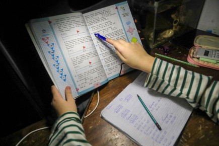 Зампред ИТ-комитета Госдумы высказался против запрета «решебников»