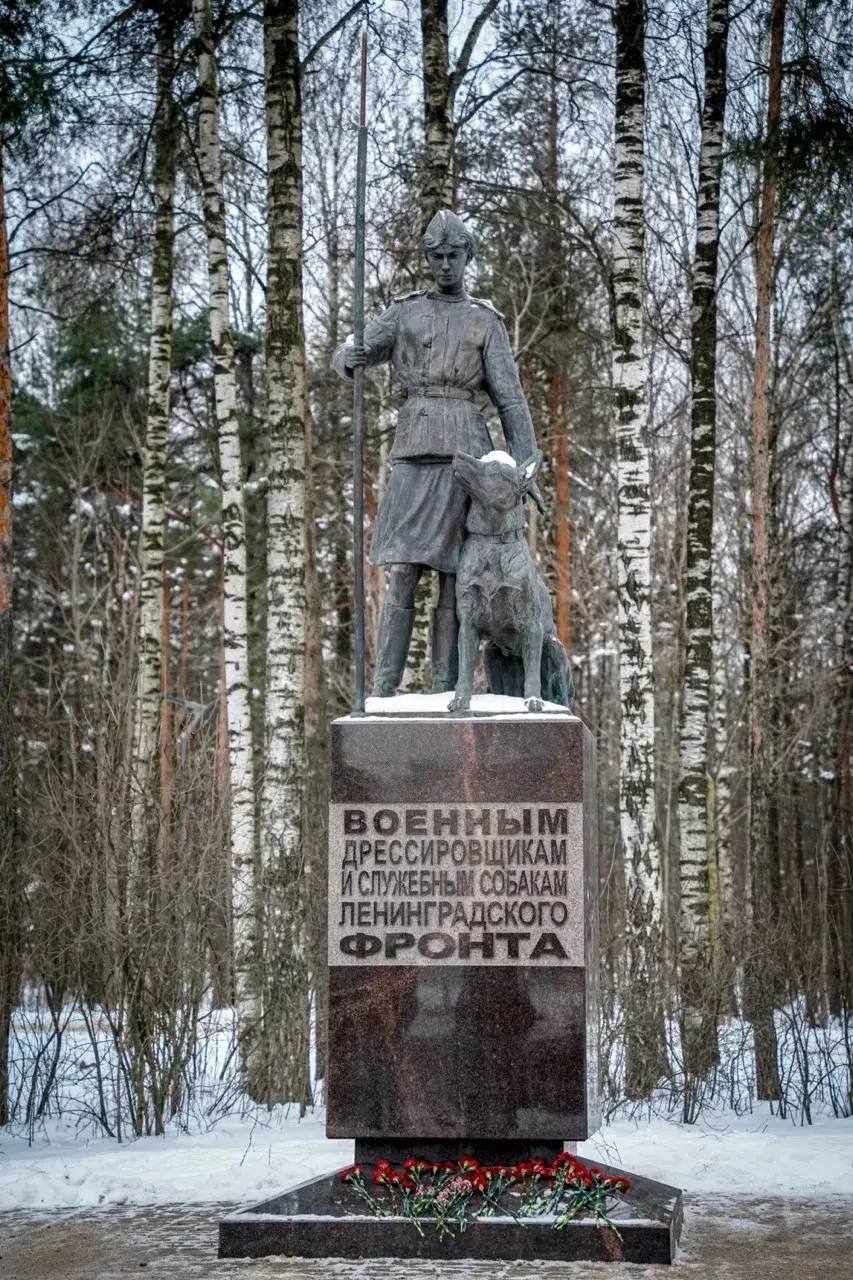 Кинологи Северо-Западного округа Росгвардии возложили цветы к мемориалу «Военным дрессировщикам и служебным собакам Ленинградского фронта» Кинологи Северо-Западного округа Росгвардии возложили цветы к мемориалу «Военным дрессировщикам и служебным собакам Ленинградского фронта»