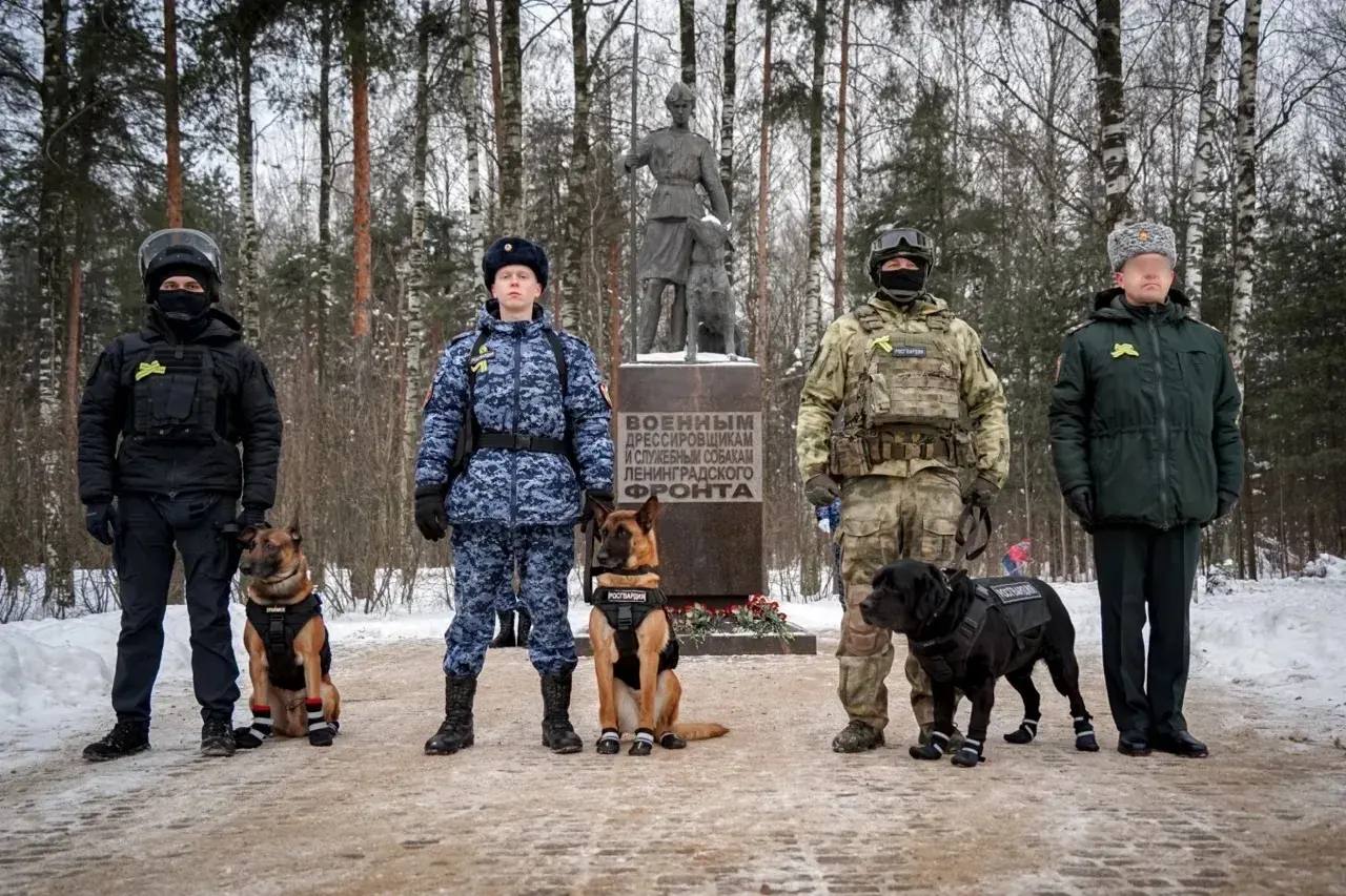 Кинологи Северо-Западного округа Росгвардии возложили цветы к мемориалу «Военным дрессировщикам и служебным собакам Ленинградского фронта»
