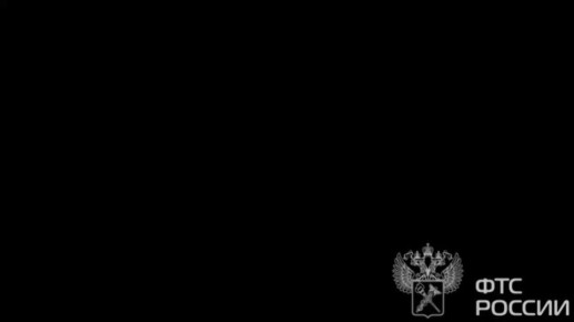 Российские таможенники задержали гражданина Украины, который предлагал взятку, чтобы перейти границу с Эстонией