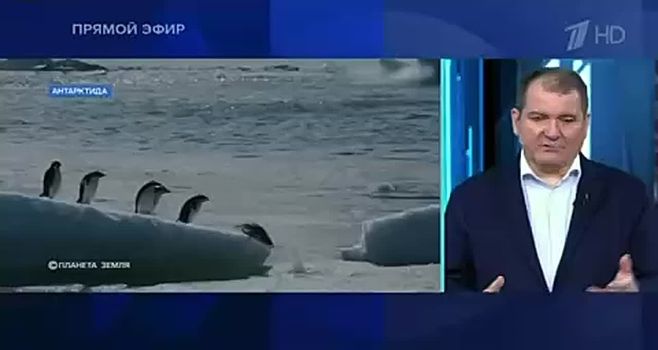 Владимир Корнилов: Объяснил сегодня в эфире Первого канала, почему Трампу сейчас обязательно надо отвлекать внимание от внутренних проблем Америки и создавать бесконечные громкие информповоды за пределами США