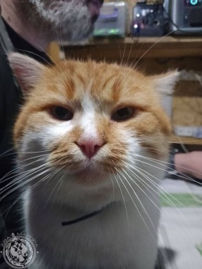 ��� ������: ������� ������ �������