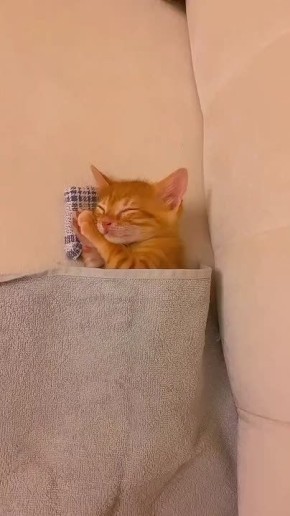 ��������� ����, ������!. ������