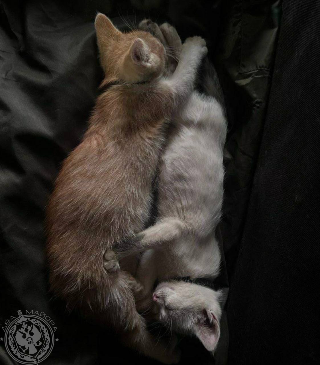 Два майора: Рубрика «Будни солдата» Два майора: Рубрика «Будни солдата»