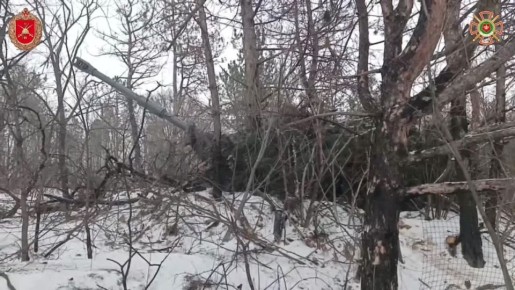 Боевая работа самоходного артиллерийского дивизиона бригады "Бешеные псы" в окрестностях Гришино