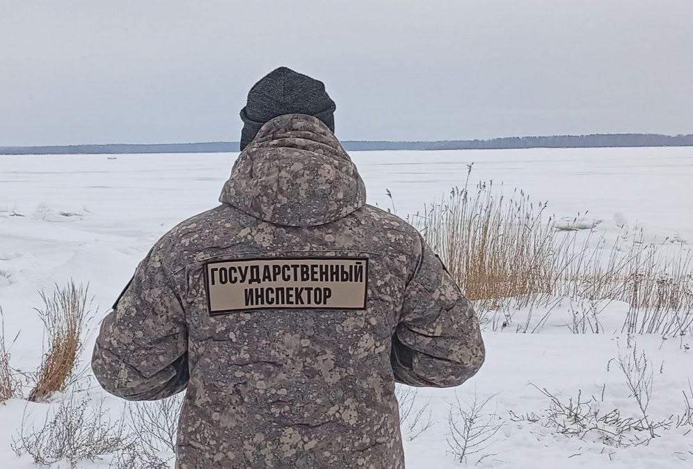 На ООПТ Ленобласти продолжаются ежедневные рейды На ООПТ Ленобласти продолжаются ежедневные рейды
