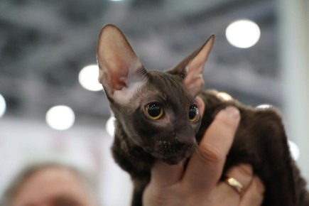 � ������ ����� ������� ��������� ���������� ����� � ����� � �����������