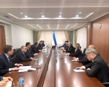 "Против учреждения консульств в ханствах приводят обыкновенно опасность, в какой будет постоянно находиться горсть русских, среди враждебного населения