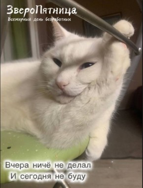 ������� ��������� ���� �����������, �� ��� ��� �� ��������