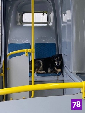 �� ������ ������ �������� �������-���������������