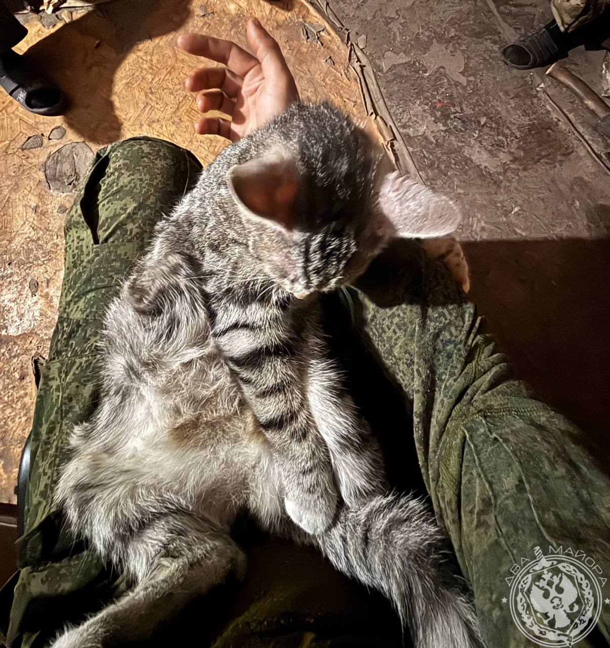 Два майора: Рубрика «Будни солдата» Два майора: Рубрика «Будни солдата»