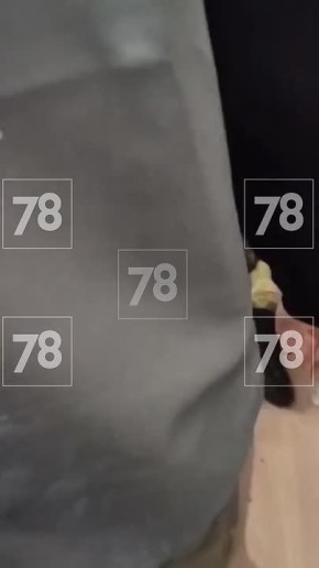 Более 30 млн руб. похитили у россиян с помощью пары мошенников из Ленобласти