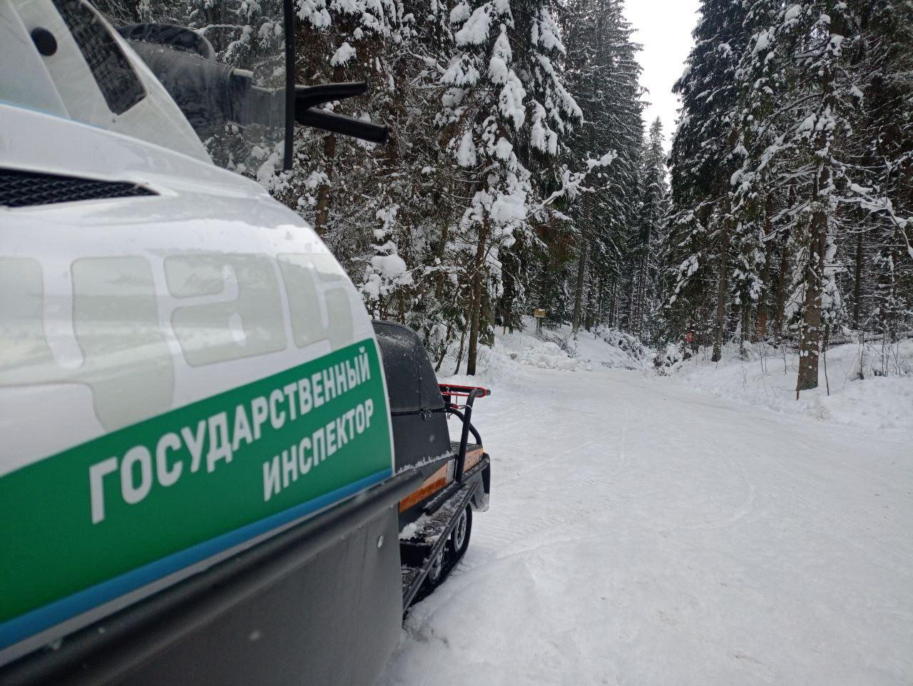 На ООПТ Ленобласти продолжаются ежедневные рейды