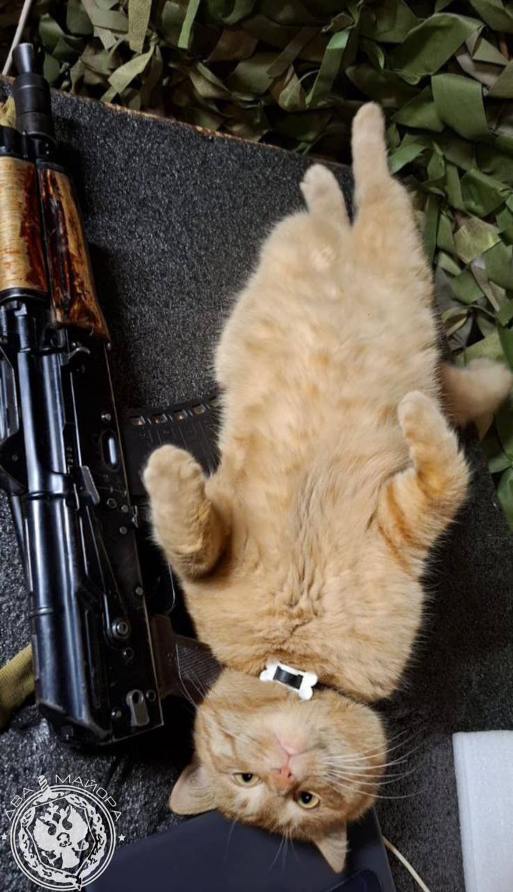 Два майора: Рубрика «Будни солдата» Два майора: Рубрика «Будни солдата»