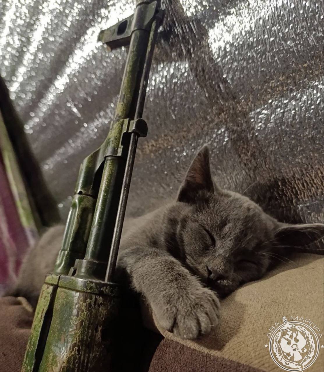 Два майора: Рубрика «Будни солдата» Два майора: Рубрика «Будни солдата»