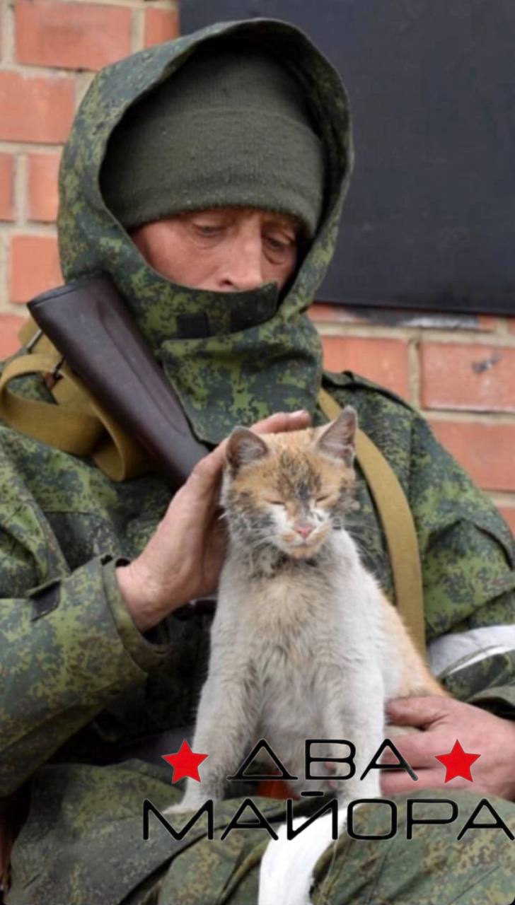 Два майора: Фронтовой тягач. докладывает: Два майора: Фронтовой тягач. докладывает: