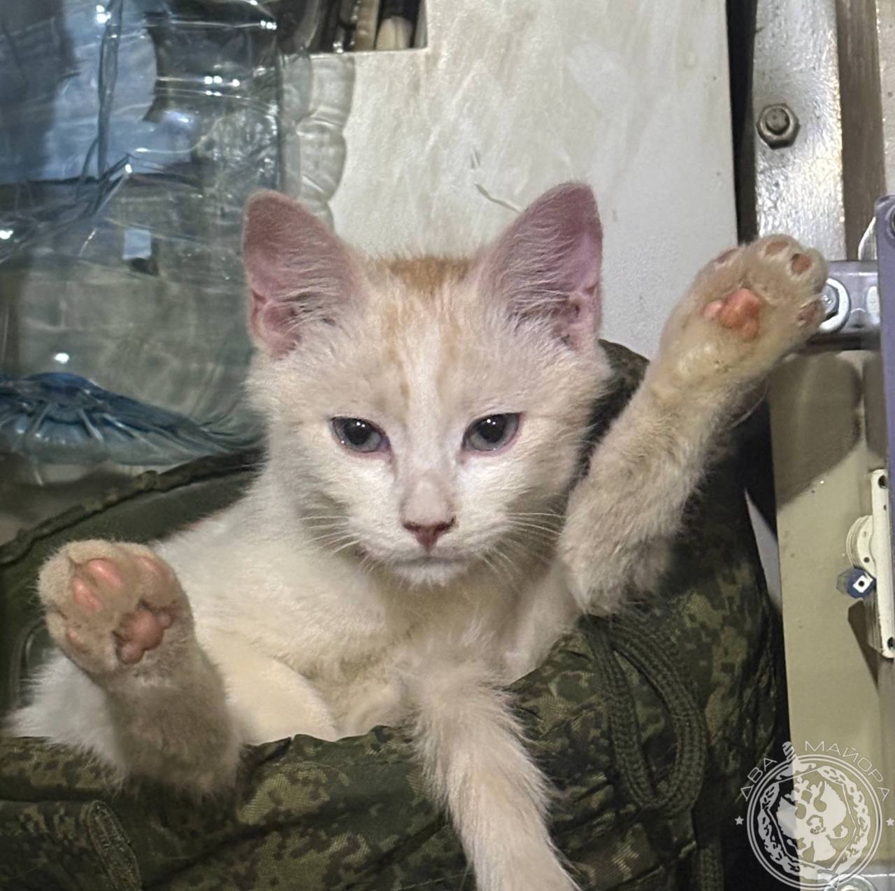 Два майора: Рубрика «Будни солдата» Два майора: Рубрика «Будни солдата»