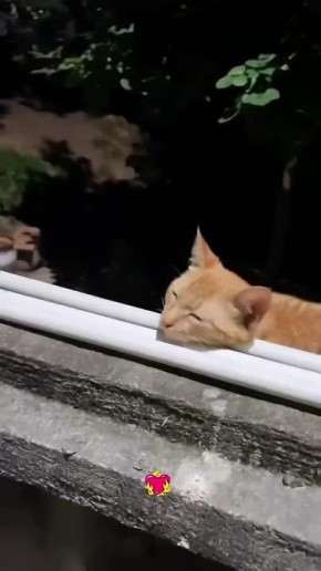 ��������� ����, ������!. ������