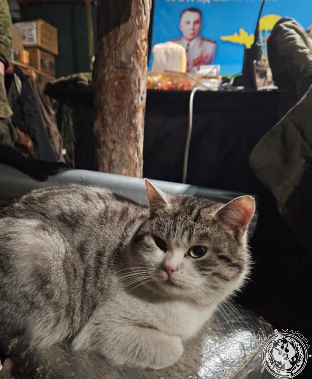 Два майора: Рубрика «Будни солдата» Два майора: Рубрика «Будни солдата»