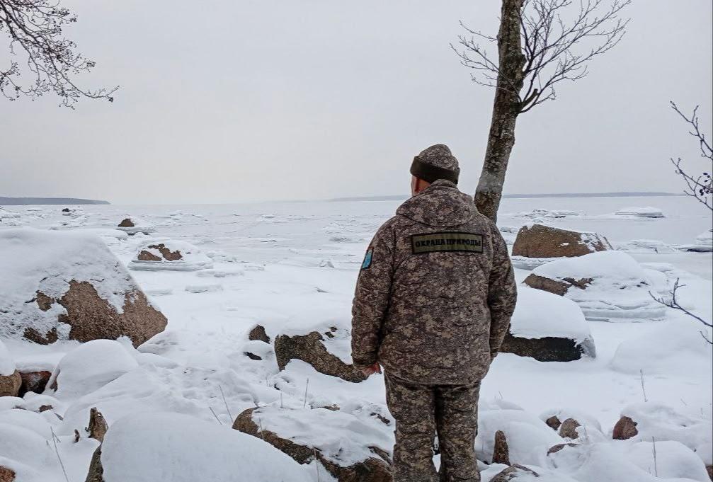 На ООПТ Ленобласти продолжаются ежедневные рейды На ООПТ Ленобласти продолжаются ежедневные рейды
