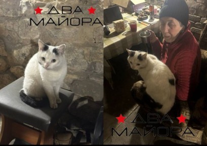 ��� ������: ��������� �����. �����������: