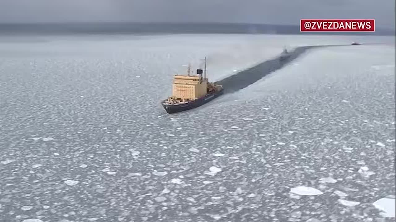 Юлия Витязева: ПАМЯТИ БЕЛЛИНСГАУЗЕНА. . Морозные искры на каменных плитах, Припудрены волосы снежной мукой, Суровый моряк в золотых эполетах На бронзовый глобус оперся рукой