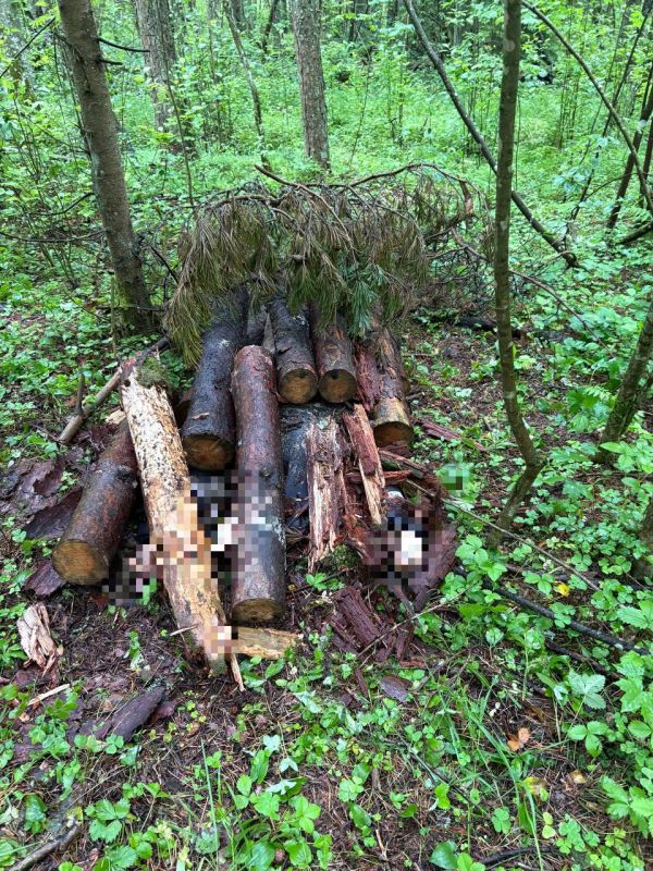 � ������������� ������ ���� ���������� � ��������, ���� �� ������� ������������������, ��������� ��� ������