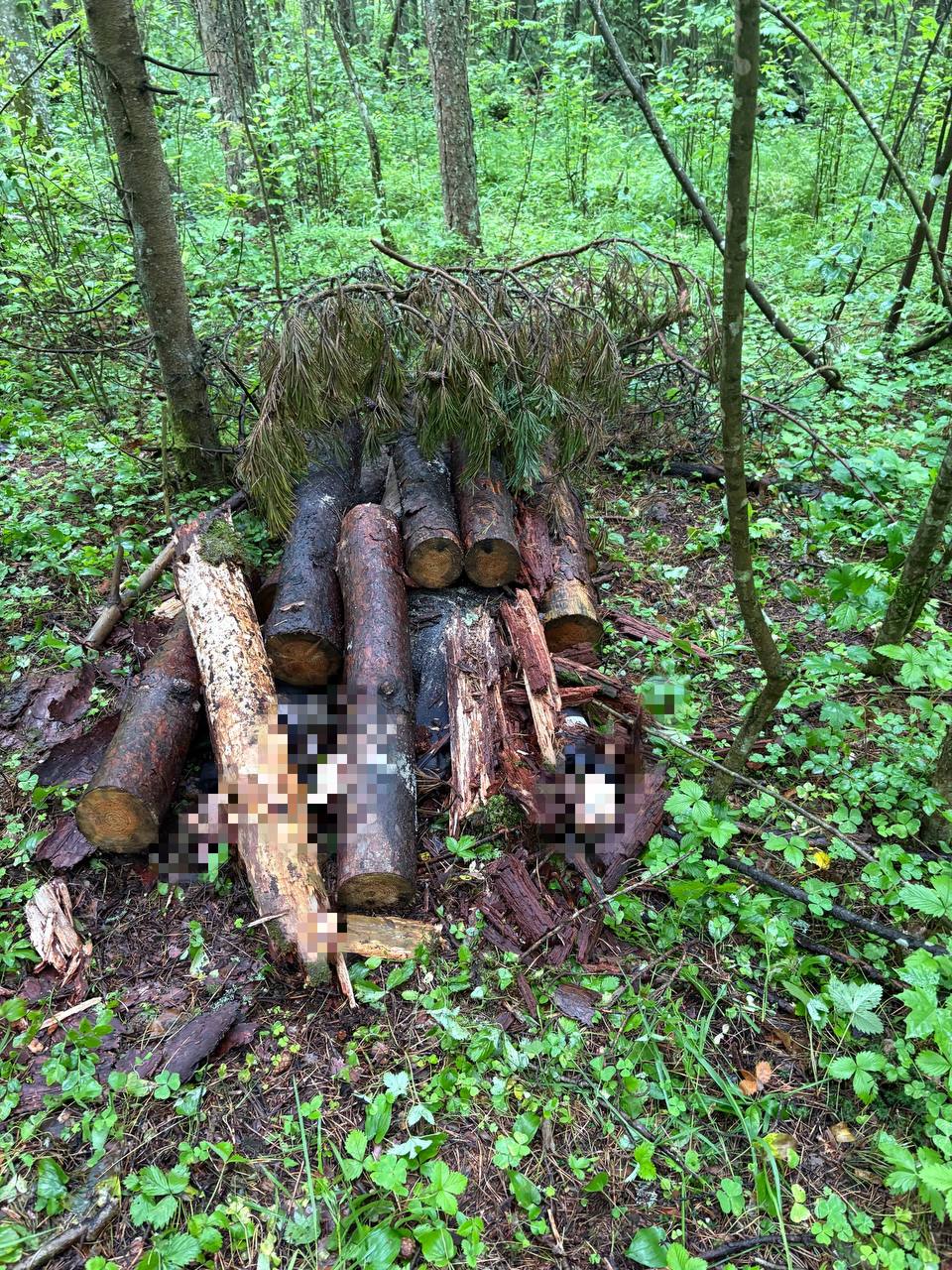 В Кингисеппском районе двое обвиняемых в убийстве, один из которых несовершеннолетний, заключены под стражу