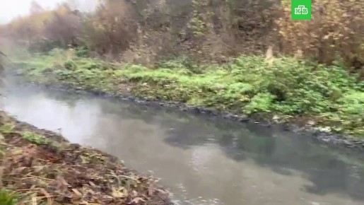 ��������� ���� � ���������� �� ����� ������� ������ �� ����� �������� �������� ������������