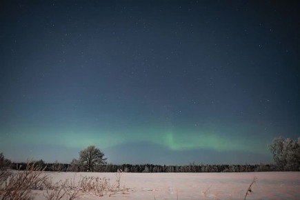 �������� ������ � �������� ������ �������� ���� �� ������ ����������