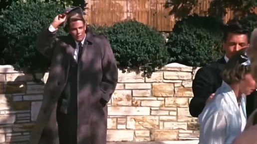 �������� ����������� ���������� �� �����24