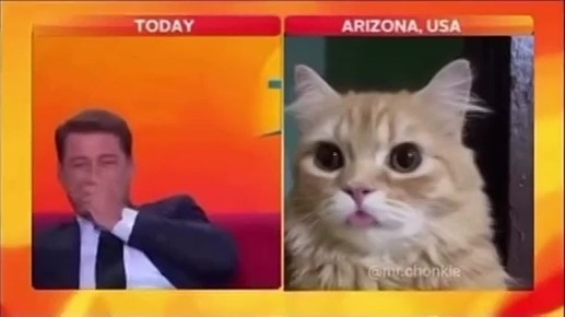 ���� ������ ������� ��������!