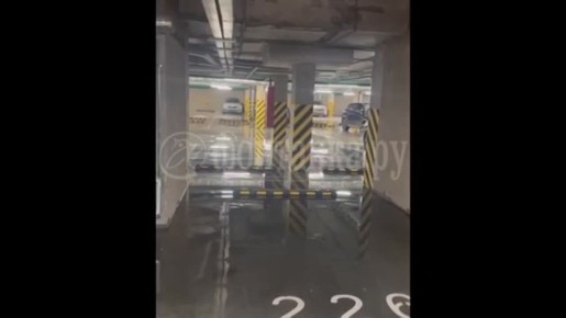 �������� � �������� ����� �������� ����� �� ����������� ����������, 40. ���� ���������� ���������