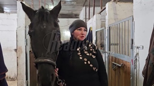 Как выживает с 2014 года в Донецке конный клуб, часть из животных которого погибла во время войны и обстрелов