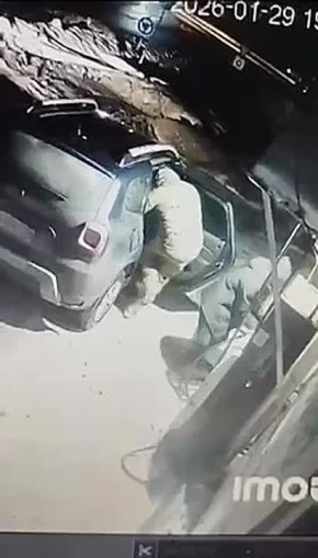 � ����������� ������� �������� ������ ������ �� �������������� � ��������� "������������" ������� ����������� ����������, ������������� ��� ����� �� ����� ������