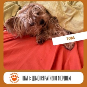 Сегодня День красных стрелочек, показывающих на юг