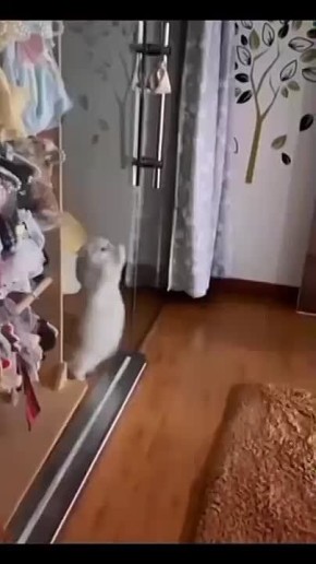 Между тем вечер пятницы уже наступил