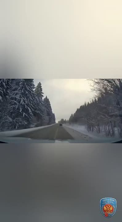 ����� ����� ���������� � �����: ������� ������ ��������