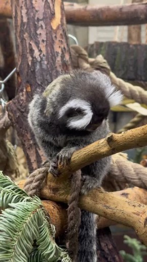 �������������� ���� ��������� � ������������� ��������