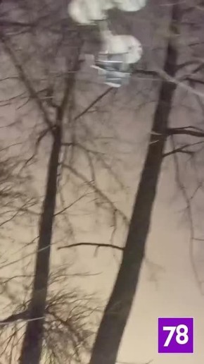 Двое мужчин устроили пикет в Овсянниковском саду