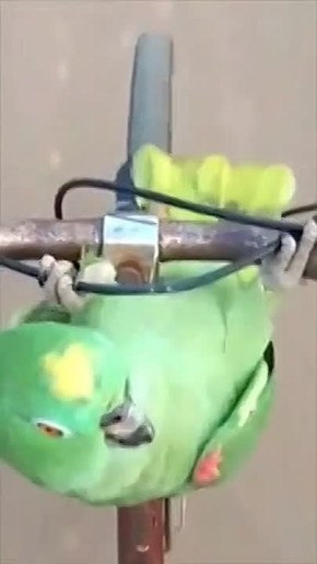 ���� ������������ ������� ������ � ���������