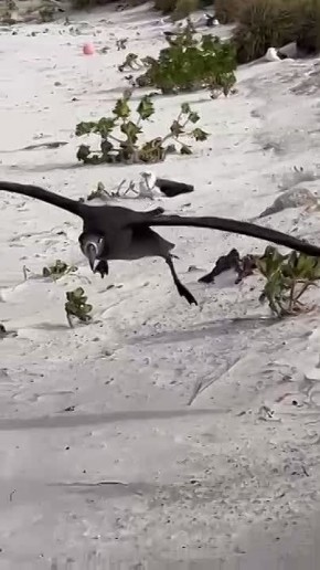 �� ������ �����! ������� ���� ����� �� �������� ��� ��������� ���������� � ������ ������������ � ������� �������