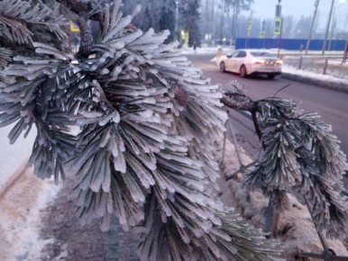 � ������������� ������� ������� ������� ������������ �����