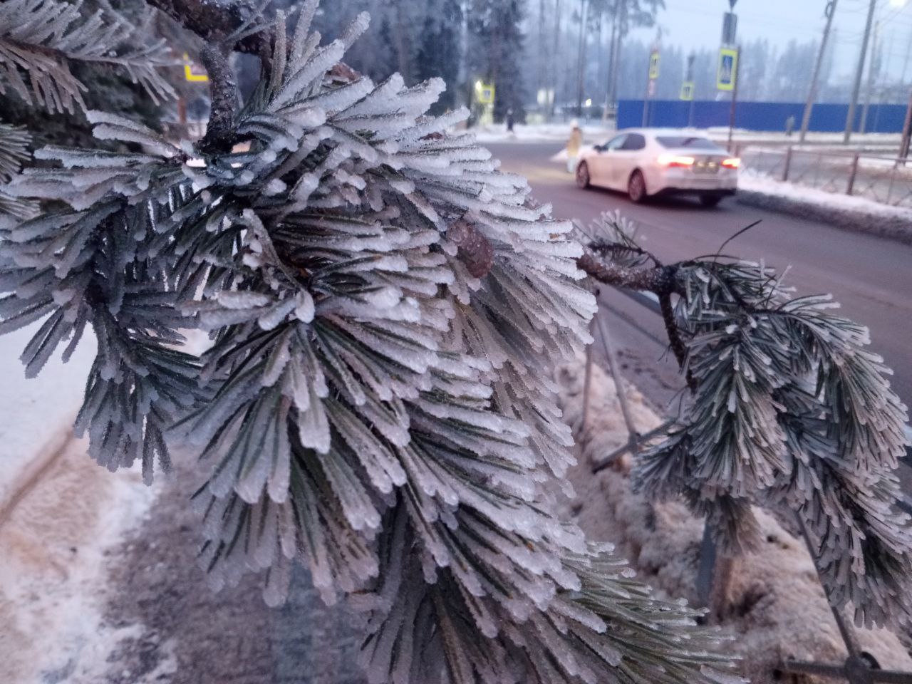 В Ленинградской области усилили бригады коммунальных служб