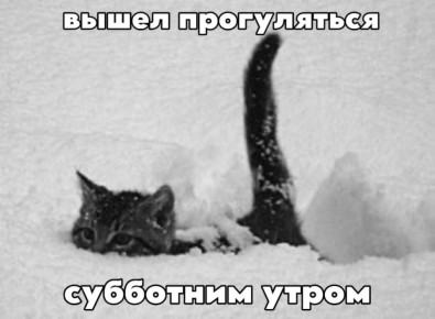 � ������ ���������� � ���� �� 31 ������ ����������� ���������� �� -17,6 ��������